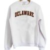 Delaware-Sweatshirt-510x598