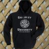 Gallifrey-University