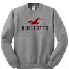 Hollister-Califiornia-Sweat-510x598
