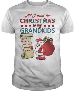 All-I-want-for-christmas-is-my-grandkids-shirt-510x510