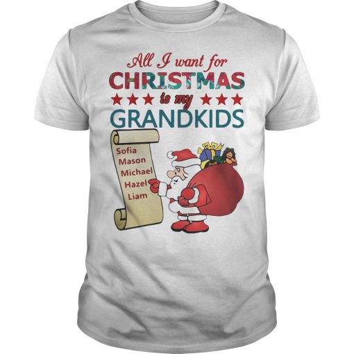 All-I-want-for-christmas-is-my-grandkids-shirt-510x510