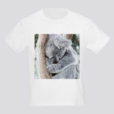 Koala-T-Shirt-20