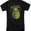 Shrek-T-Shirt-02