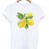 3 Lemon Tshirt