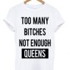 Too Many Btches Not Enough Queens Tshirt